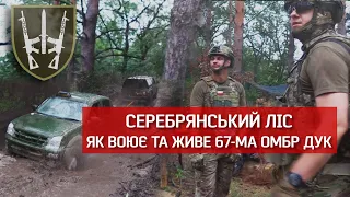 Як ДУК «Правий сектор» НИЩИТЬ рОСІЯН:"Найважчі умови, в яких доводилося воювати"| Невигадані історії