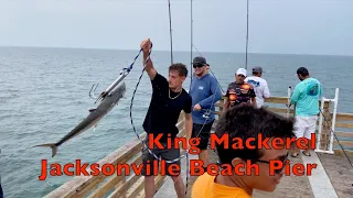 Incredible Jacksonville Beach Pier Kingfish Bite