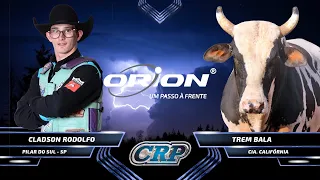 "TOMBO FEIO NA ARENA" (TERÇA FEIRA - MELHORES MOMENTOS) - Rodeio Burguesa CRP 239 - 14ª Etapa 2021