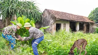 RESCUE a skinny dog ​​abandoned with only bones, clean up an abandoned house for 50 years