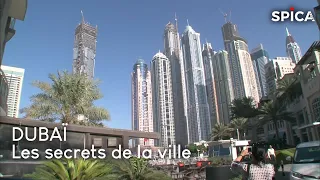 Dubaï, la démesure dans le désert