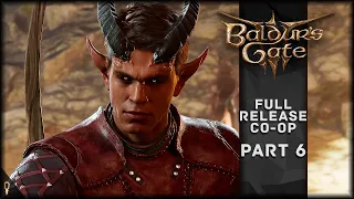 Lae'zel's Target - Baldur's Gate 3 CO-OP Part 6