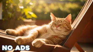 12 Hours Of Music For Cat to Fall Into Deep Sleep🐈Stress Relief♬ Heal Stress For Cat Soothing Piano