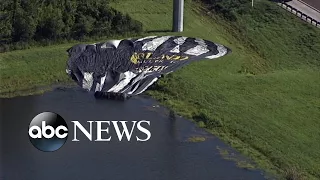 Hot air balloon crash lands in alligator filled pond