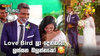 Love Bird ලා දෙන්නගේ ලස්සන බලන්නකෝ 🥰 Divithura - දිවිතුරා | අවසාන 𝐁𝐎𝐍𝐔𝐒 කතාංගය 🔥❤