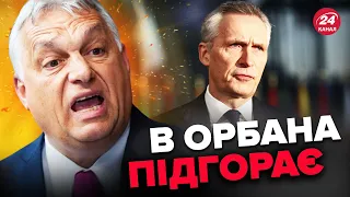 🔥Орбан В ІСТЕРИЦІ через Україну / Вискочив з обуренням