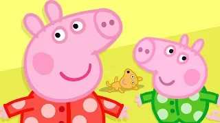 Peppa Pig English Full Episodes | Peppa Pig Season 1 Episodes | 30 MIN | Cartoons for Children