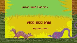 Редьярд Кіплінг. Ріккі-Тіккі-Таві