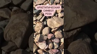 АРХЕТИПИЧЕСКИЙ СИМВОЛ РОЗА🌹