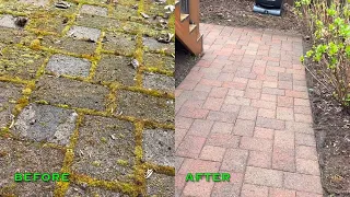 ASMR Very Mossy Paver Walkway (Revised and Super Satisfying) #ASMR, #pressurewashing, #satisfying,