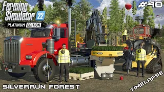 Removing ROCKS and planting TREE SAPLINGS | Silverrun Forest | FS22 Platinum Edition | Episode 40