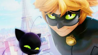 Miraculous chat noir transformation season 1-4