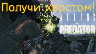 Сражение с Хищниками! Создаю Чужехищника! Aliens versus Predator 2010