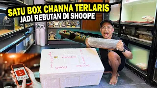 APA INI?? UNBOXING CHANNA 1 BOX PALING LARIS DI SHOOPE BOS BOS QU??