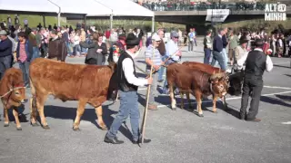 Desfile de Bois de Páscoa em Arcos de Valdevez | Altominho TV