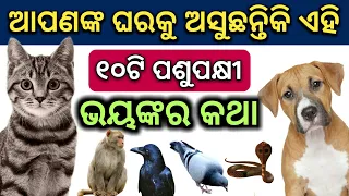 ଘରକୁ ଆସୁଛନ୍ତିକି ଏହି ସବୁ ( ପଶୁ ପକ୍ଷୀ ) - ଭୟଙ୍କର କଥା | odia bayagita, sadhubani, anuchinta 2020