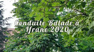 Conduite Balade à Ifrane Maroc 2020