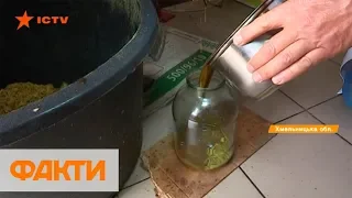 Украинский фермер изготавливает органическое тыквенное масло