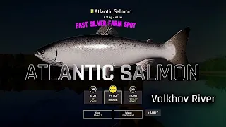 Fast silver farm spot on Volkhov River| RF4 Salmon trolling