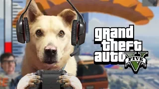 READY PLAYER DOG - GTA 5 Gameplay