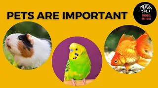 Pets are important | exploring PetSmart | Animals friends everywhere | Pets and animals