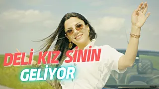 Deli Kız Sinin Geliyor - Halay - Aylin Demir