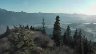 Fossil Hunting For Permian Crinoids on a Mountain in Harrison British Columbia