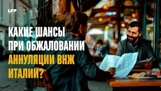 Аннуляция 23-х летнего ВНЖ Италии 😱 Обжалование в суде