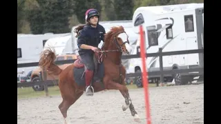 Mounted games - II tappa Trofeo 4 Regioni  - Under 15 - Cavaglià - Royal Team - Chiara & Ricky