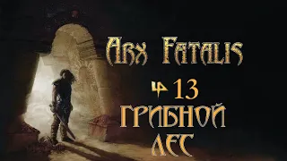 Arx Fatalis - Эпизод 13 "Грибной лес"