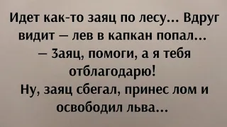 Анекдот про зайца | Анекдот до слёз | Угарный Анекдот от Жеки 😎 Смешно | Жизненные Анекдоты | Юмор.