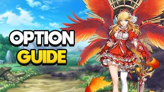 OPTION CHANGE AND OPTION LOCK STONES GUIDE | Guardian Tales Guides