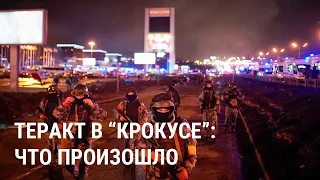 Теракт в "Крокус Сити Холле": хронология событий