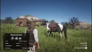 Red Dead Redemption 2 Free Hungarian Halfbred Piebald Tobiano Location Early In Chapter 2