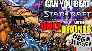 Can You Beat StarCraft 2 Heart of the Swarm with Only Drones?