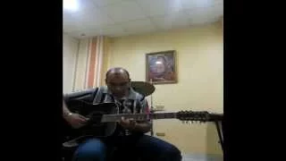 The GodFather Theme   12 strings folk guitar By Salah Yousef