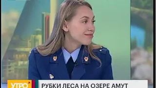 Рубки леса на озере Амут. Утро с Губернией. 26/09/2019. GuberniaTV