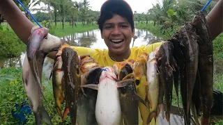പുതുമഴയിലെ മഞ്ഞ കൂരി ചാകര...| Kerala Monsoon Fishing | Kerala Village Fishing | Traditional Fishing