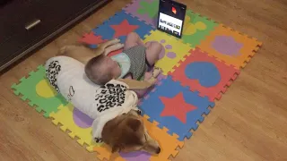 Adorable Dog Is Perfect Babysitter For Son