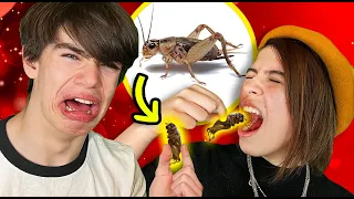 My Girlfriend & I Ate Chocolate Covered Crickets