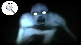 10 Paranormal Creatures That May Actually Be Out There