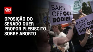 Oposição do Senado quer propor plebiscito sobre aborto | LIVE CNN