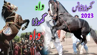 Ghora Dance l Pakistan Punjab Horse Dancing l Punjabi Dhol Jhumar in Mela - Punjab Culture 2023