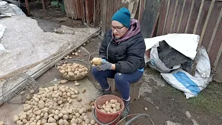 Собираем урожай, пополняем запасы, уборка огорода