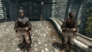 TESV:SKYRIM Стражник и Аликрский пленник