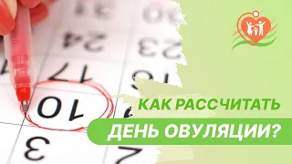 📅 Как рассчитать день овуляции при коротком или длинном менструальном цикле?