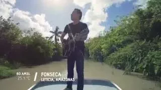 Fonseca – Amazonas