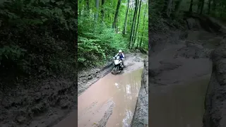 BRUTALITY BMW R 1250 GS HARD OFF ROAD EXTREME ENDURO #Shorts #bmwr1250gs #gs1250 #gs1300 #1300gs