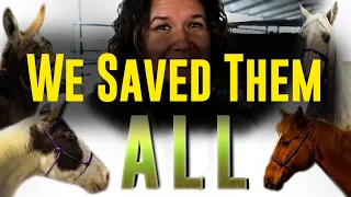 We Saved Them ALL! - Auction Rescue | Horse Shelter Heroes S4E7