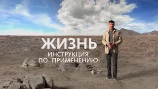 Жизнь. Инструкция по применению HD